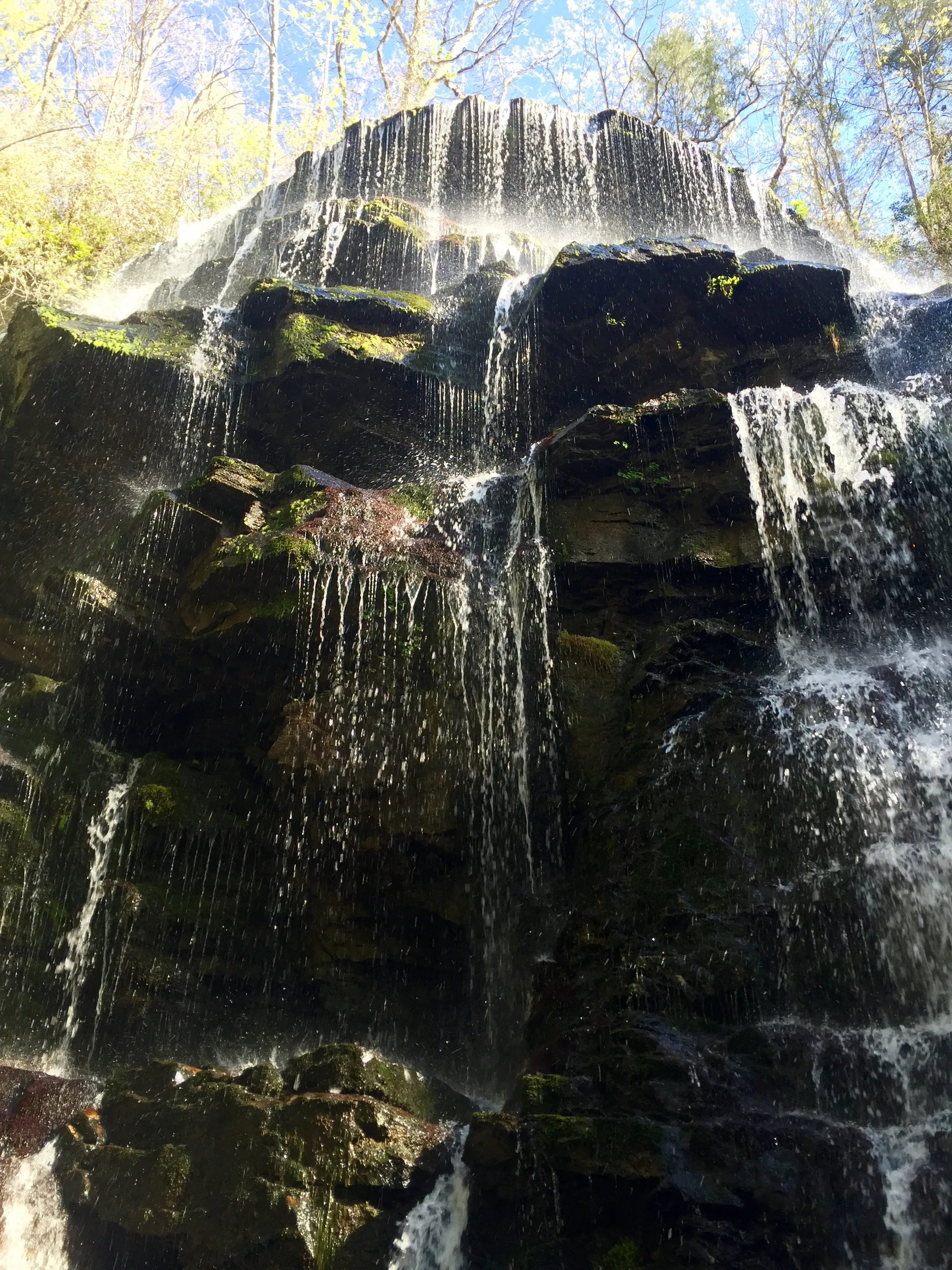 Yellow Branch Falls