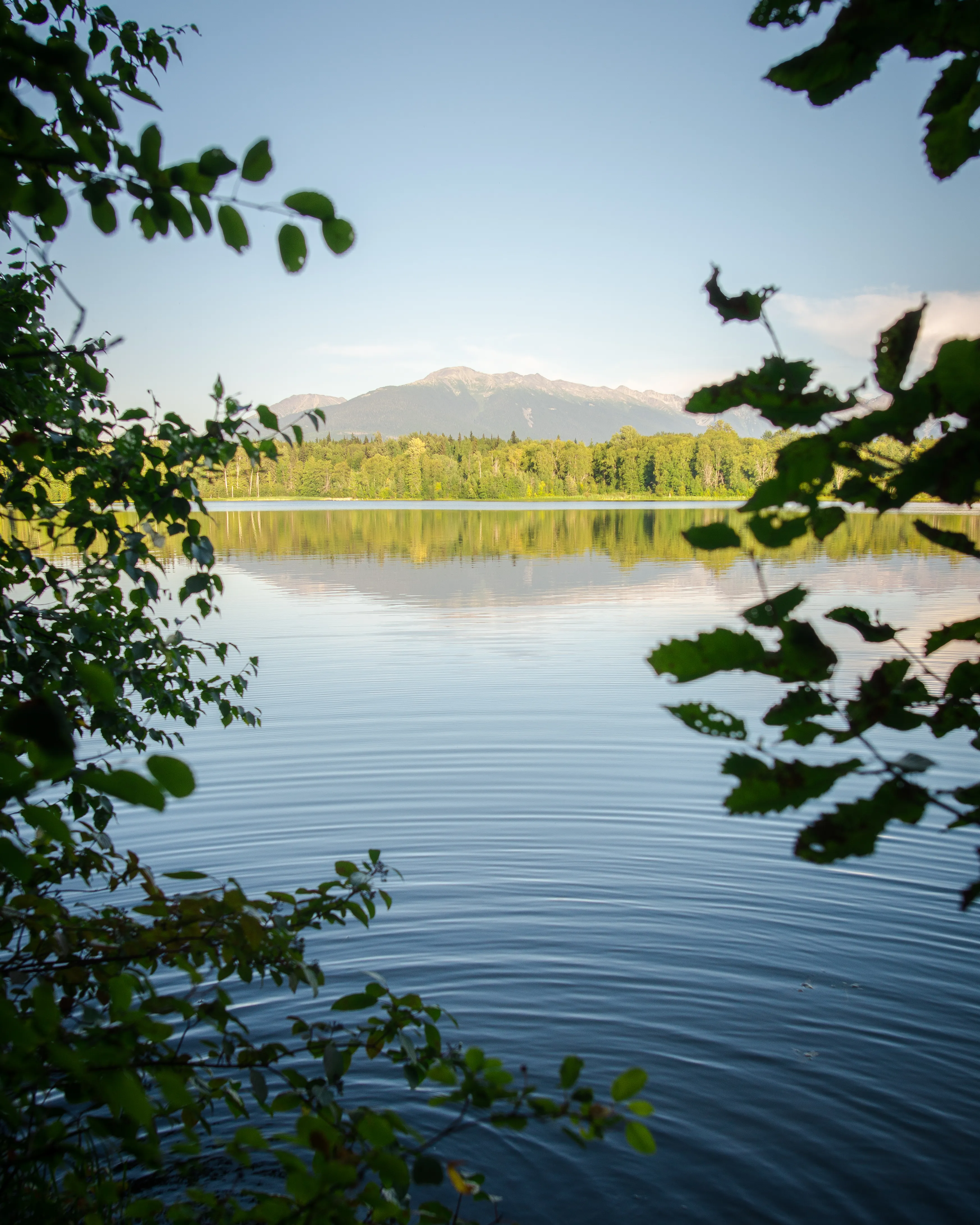 Hike around Ross Lake