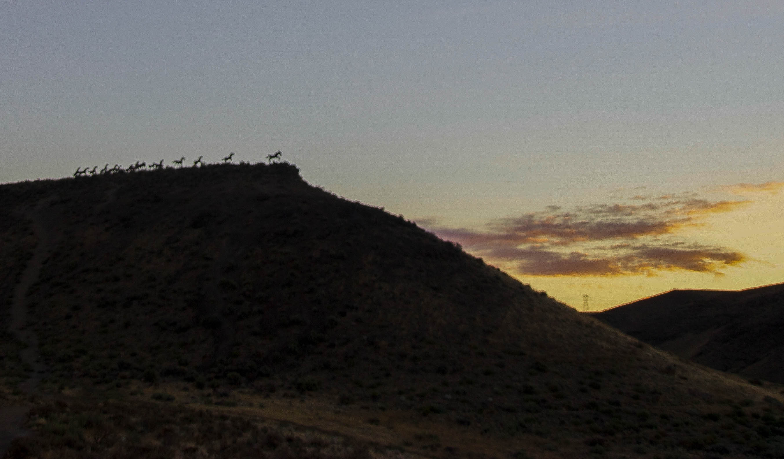 Catch the Sunset at Wild Horse Monument