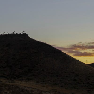Catch the Sunset at Wild Horse Monument