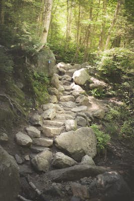 Hike the Mount Lafayette Loup