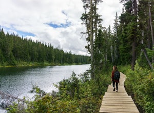 Lake Helen Mackenzie Loop