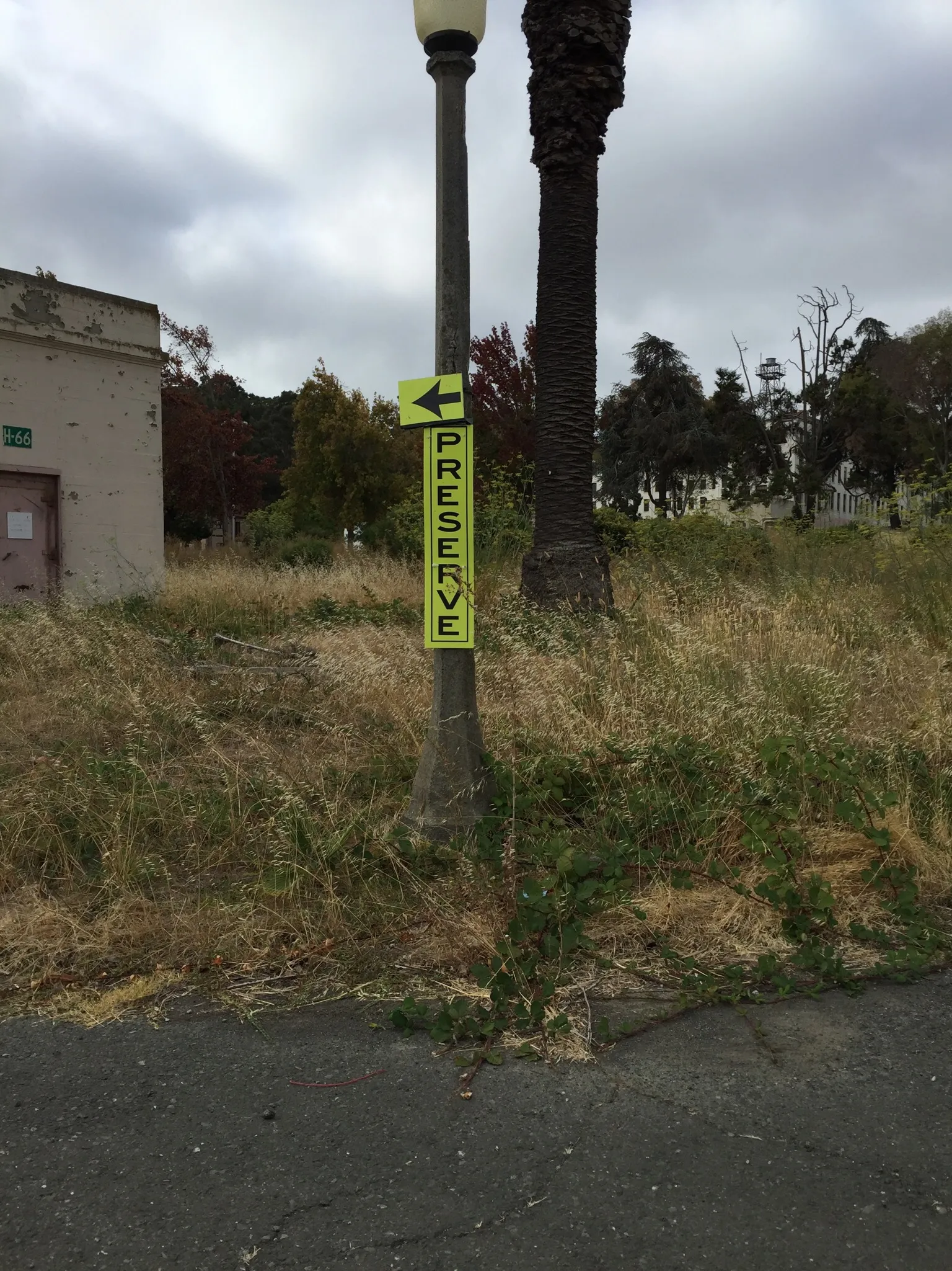 Camp at Mare Island Shoreline Heritage Preserve