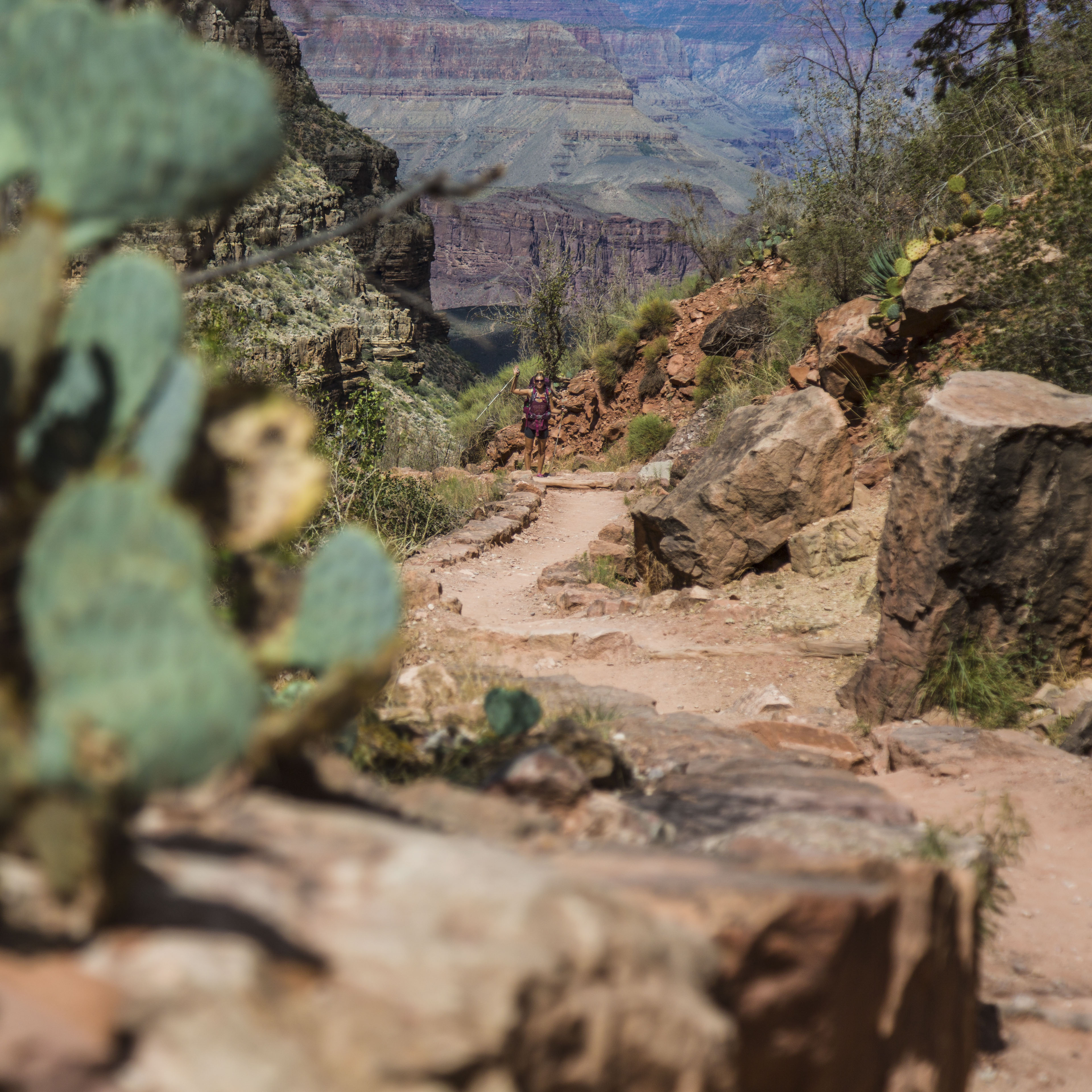 Bright Angel Trail to Indian Garden and Bright Angel Campgrounds