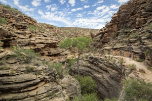 Bright Angel Trail to Indian Garden and Bright Angel Campgrounds