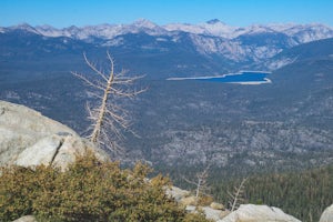 Hike to White Bark VIsta