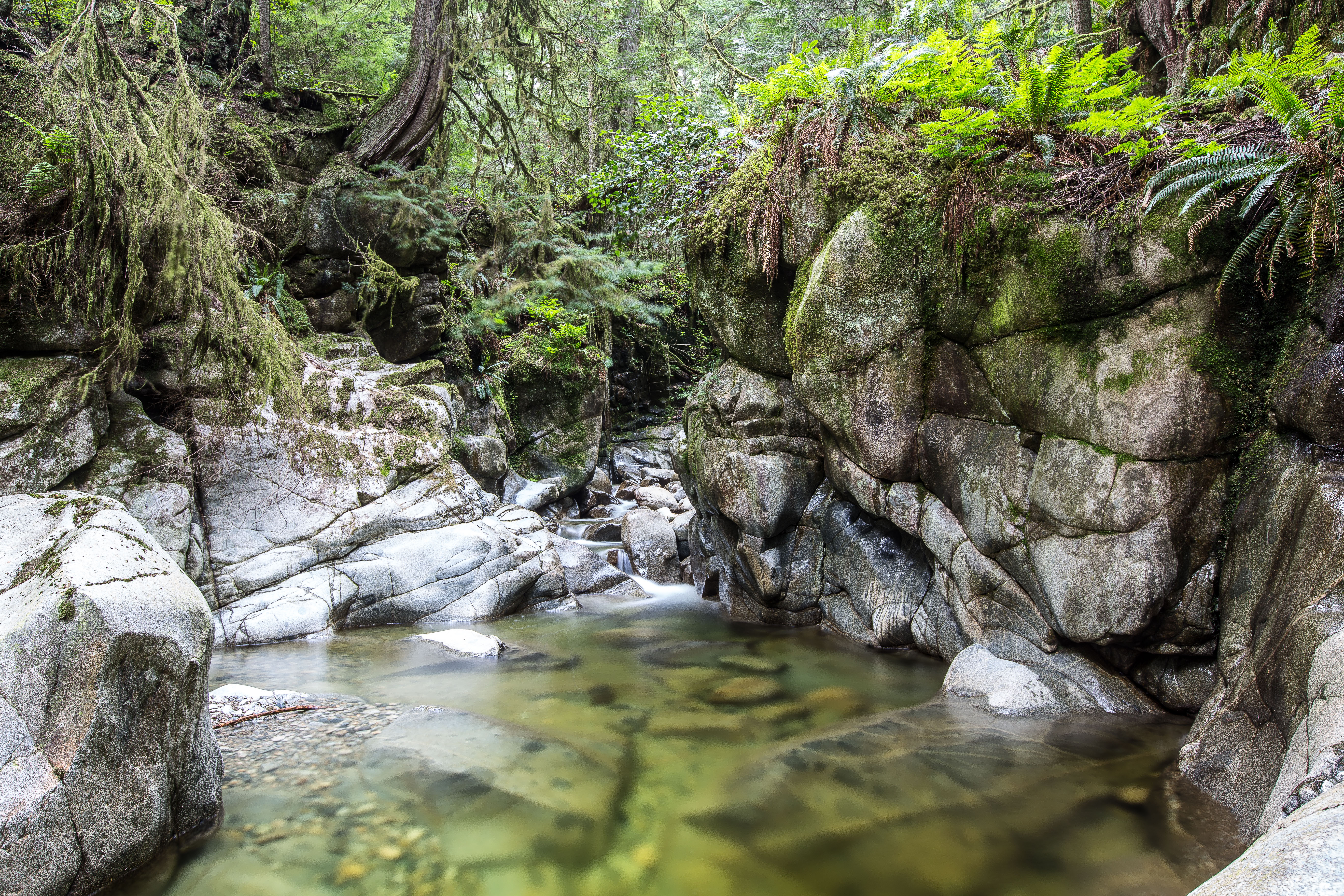 Hike to Cypress Falls in West Vancouver