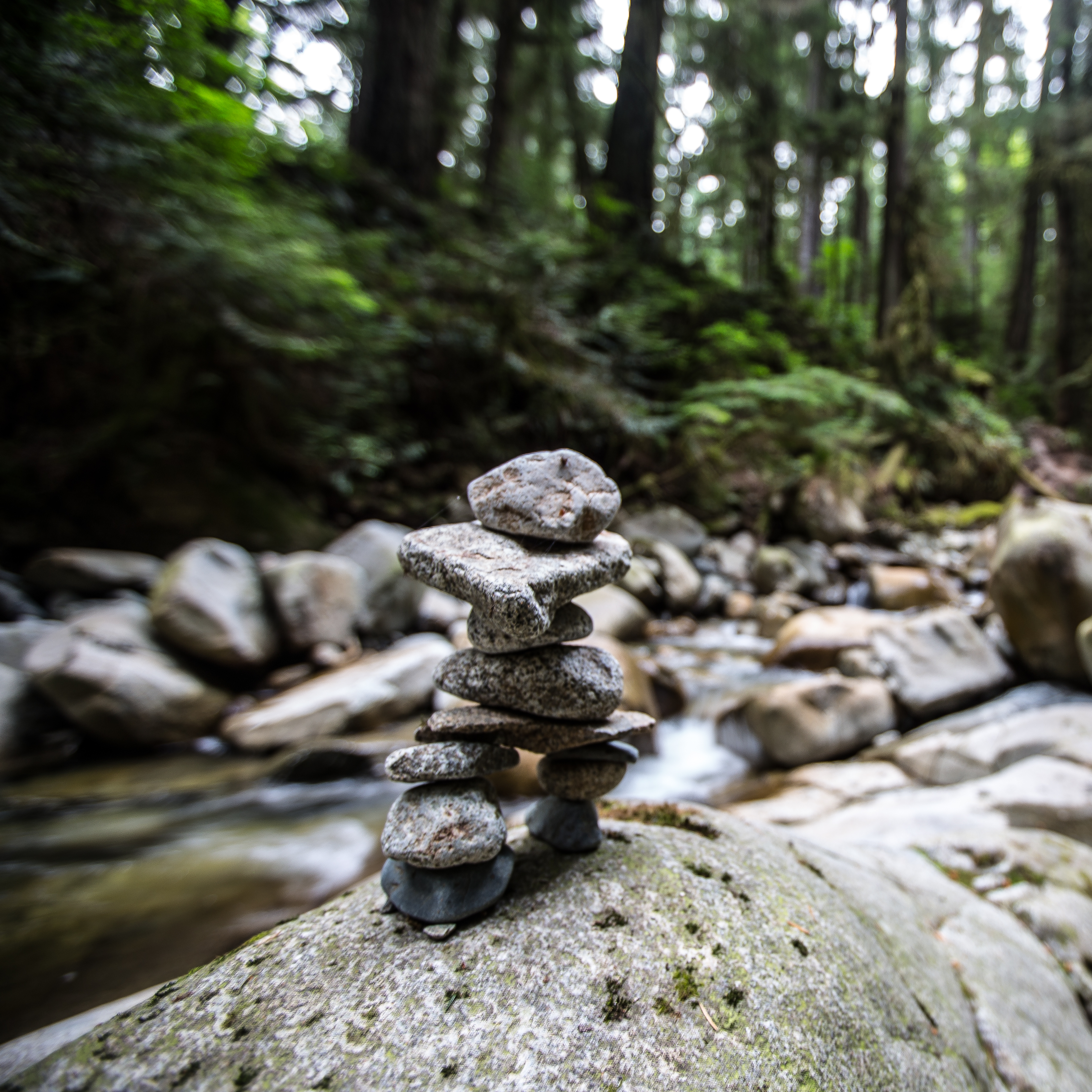 Hike to Cypress Falls in West Vancouver