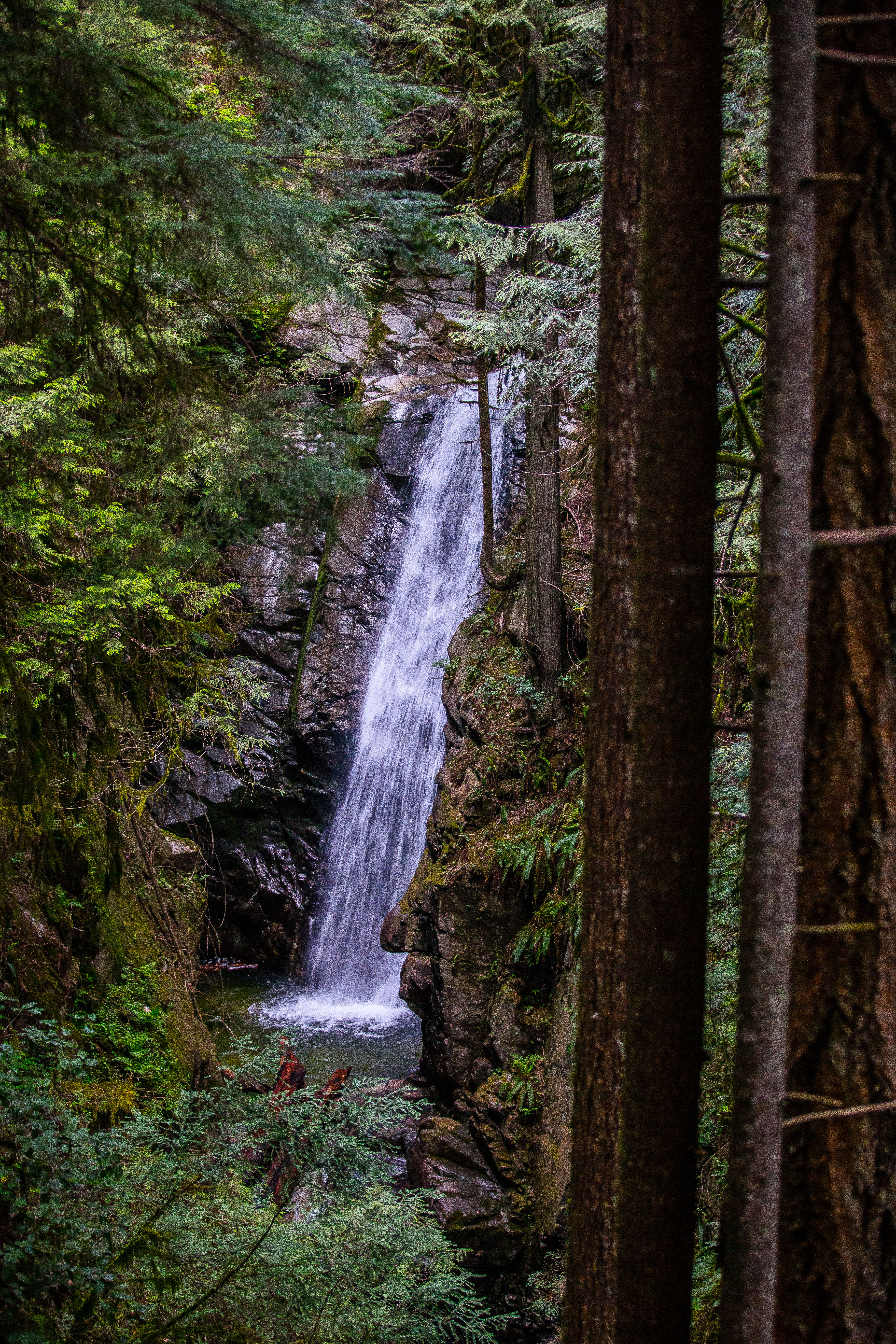 Hike to Cypress Falls in West Vancouver