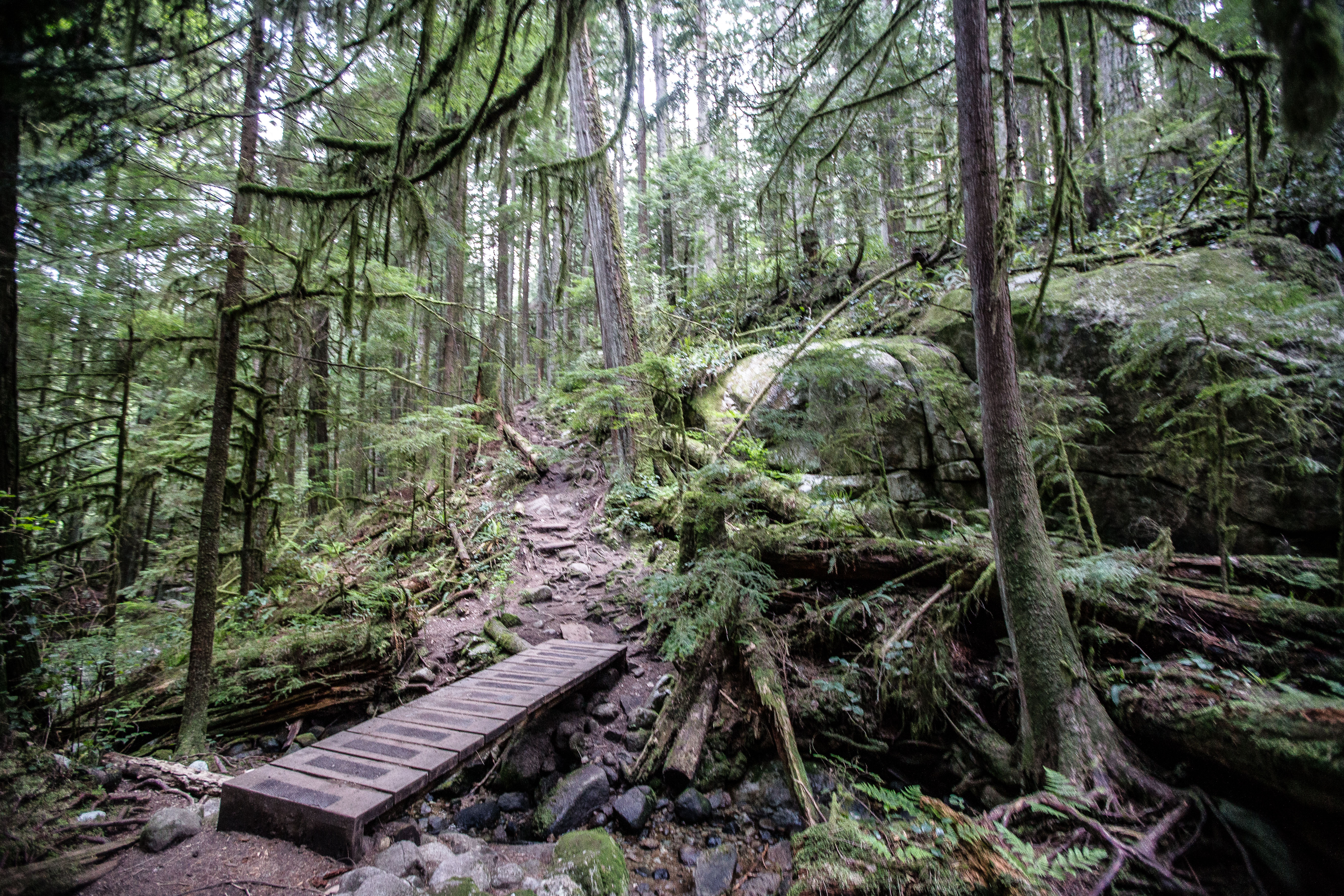 Hike to Cypress Falls in West Vancouver