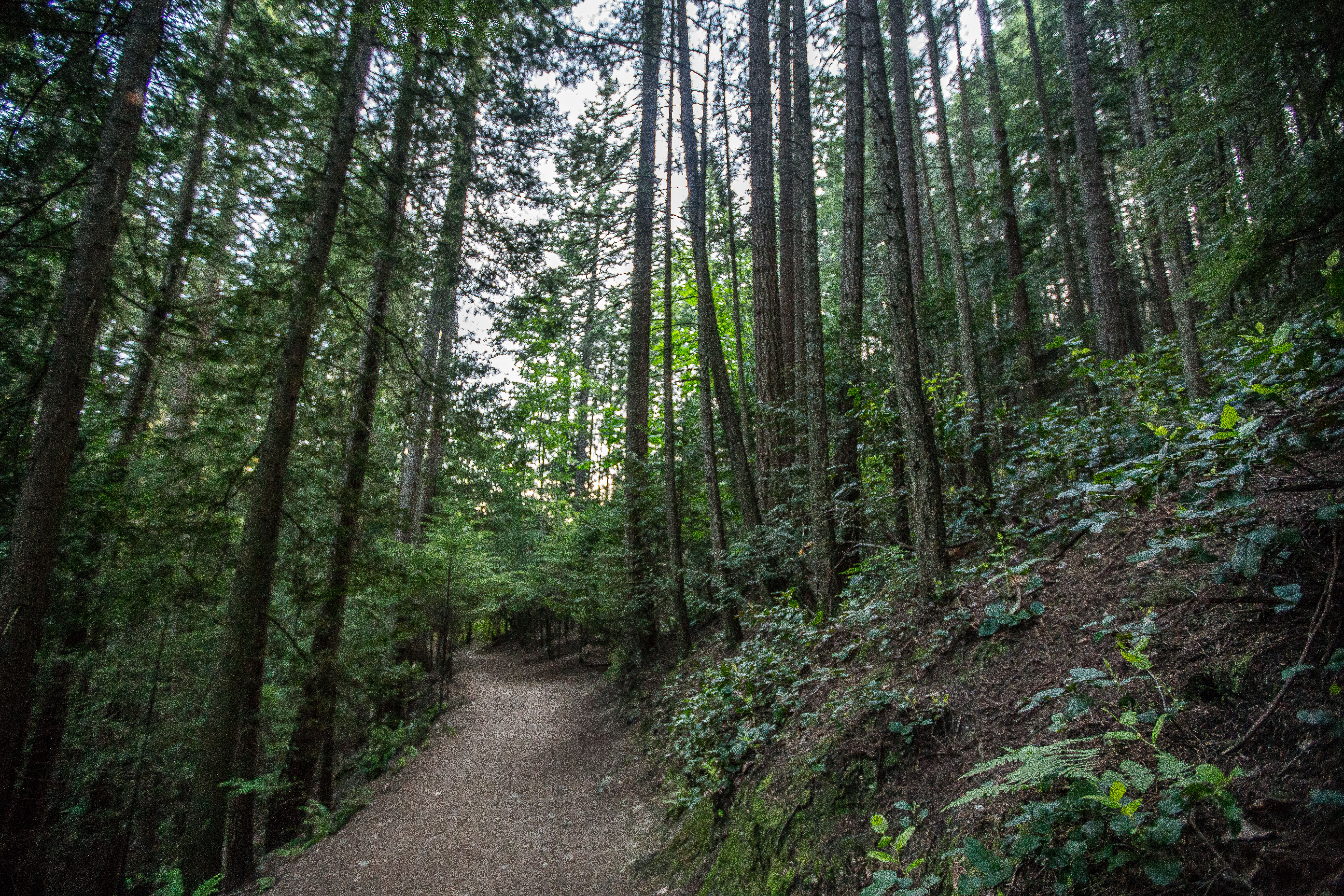 Hike to Cypress Falls in West Vancouver