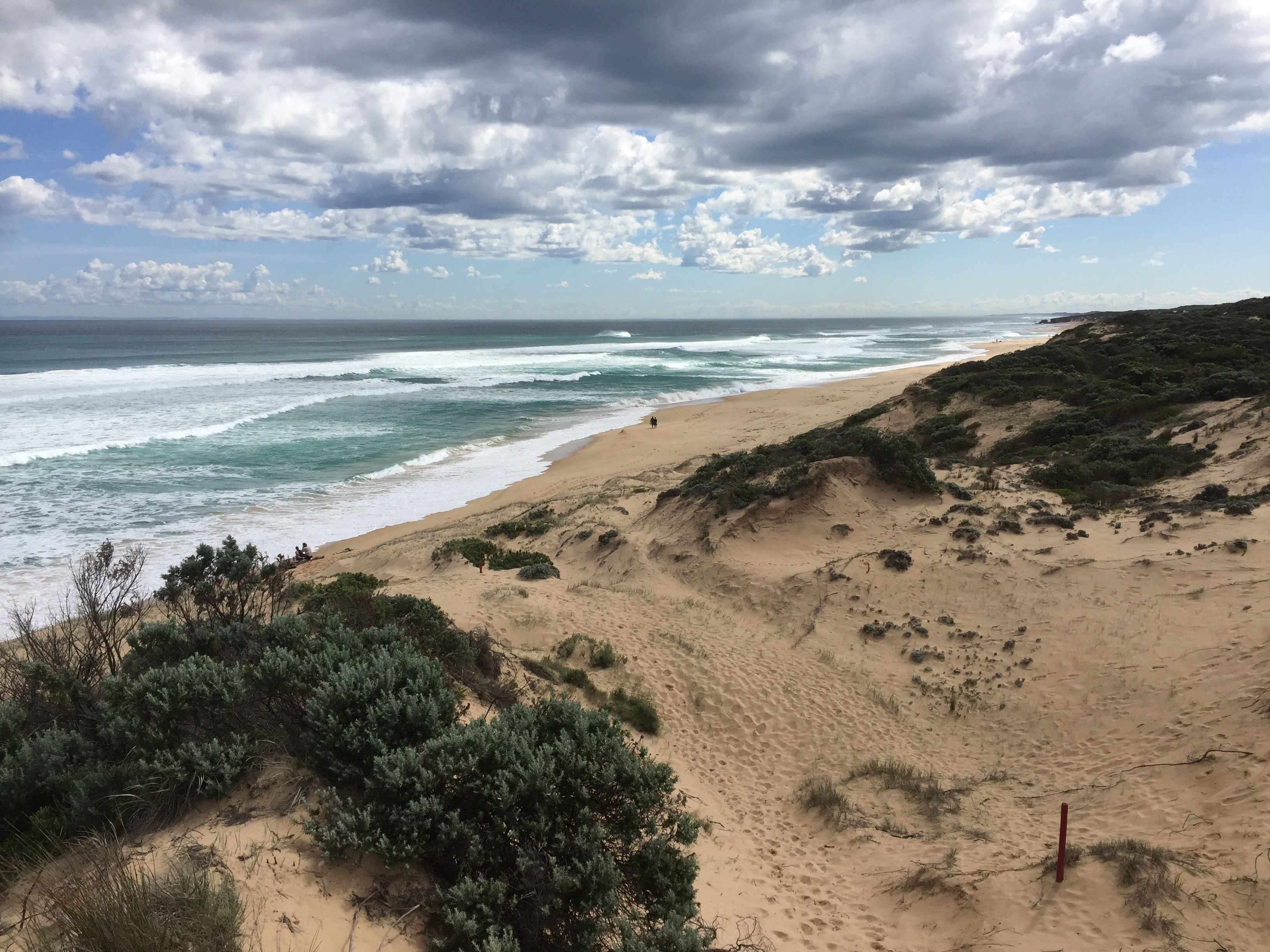Hike to Gunnamatta Beach