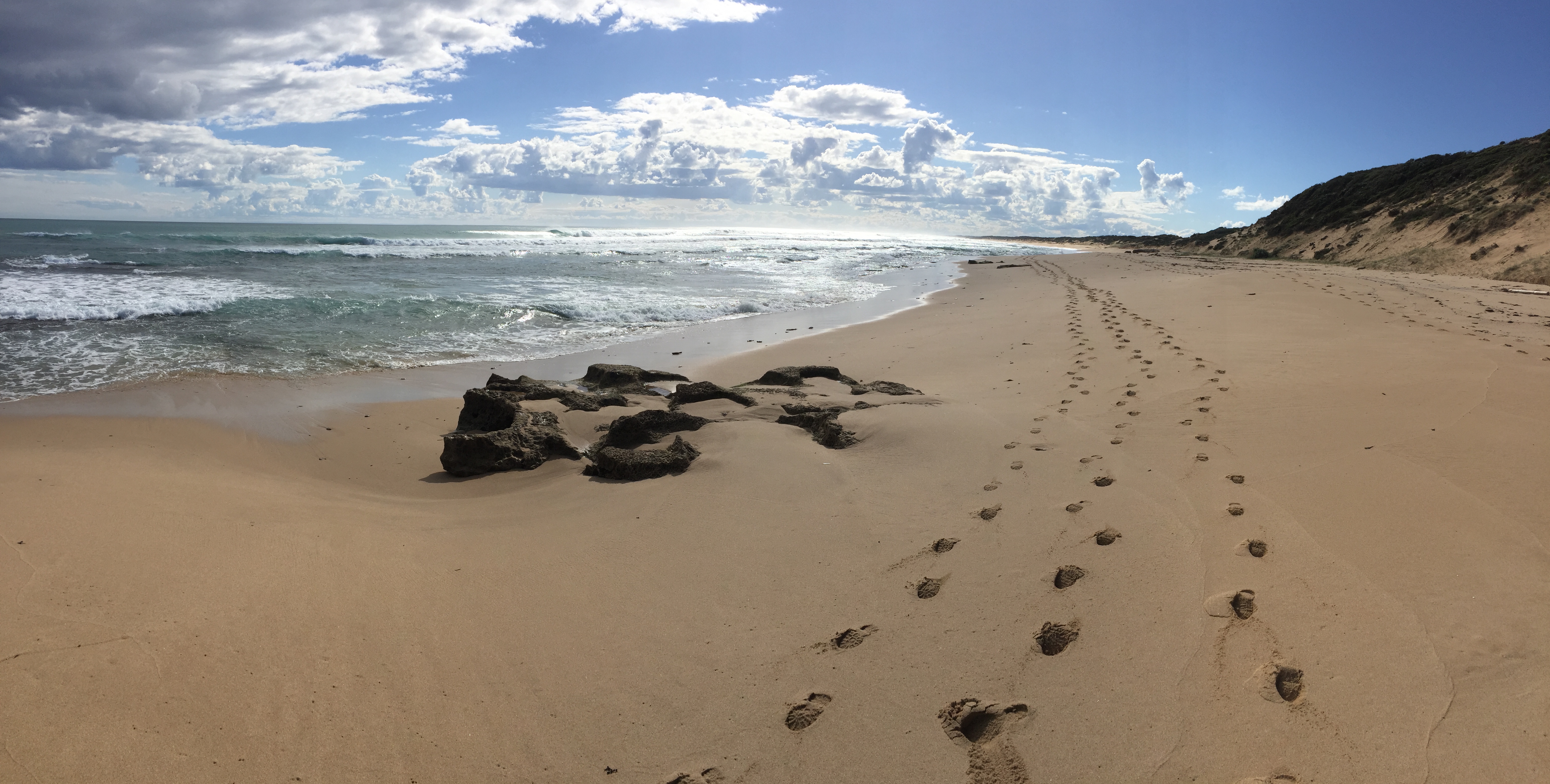 Hike to Gunnamatta Beach