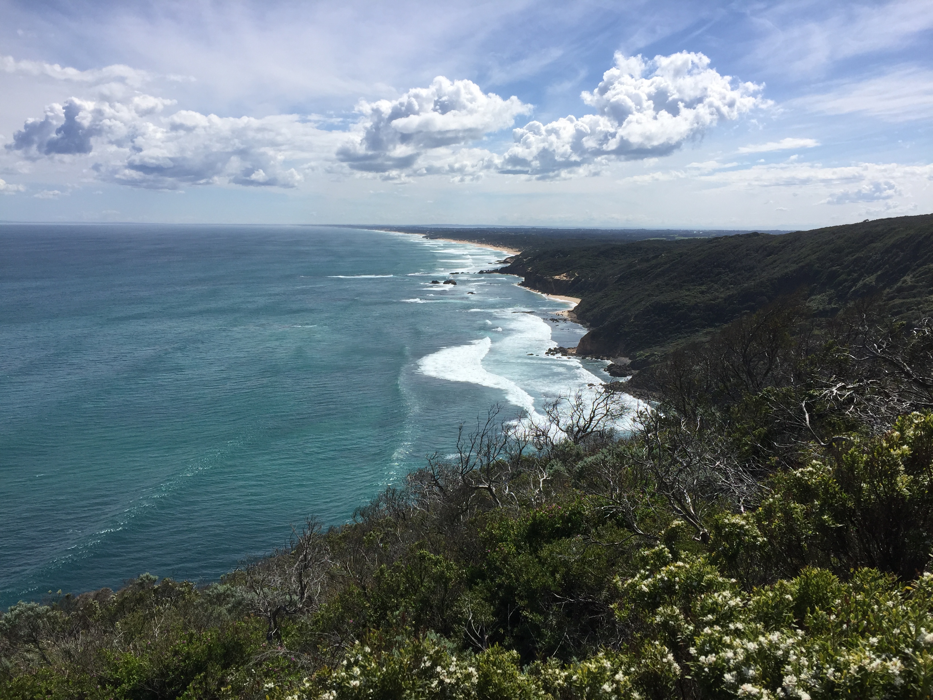 Hike to Gunnamatta Beach