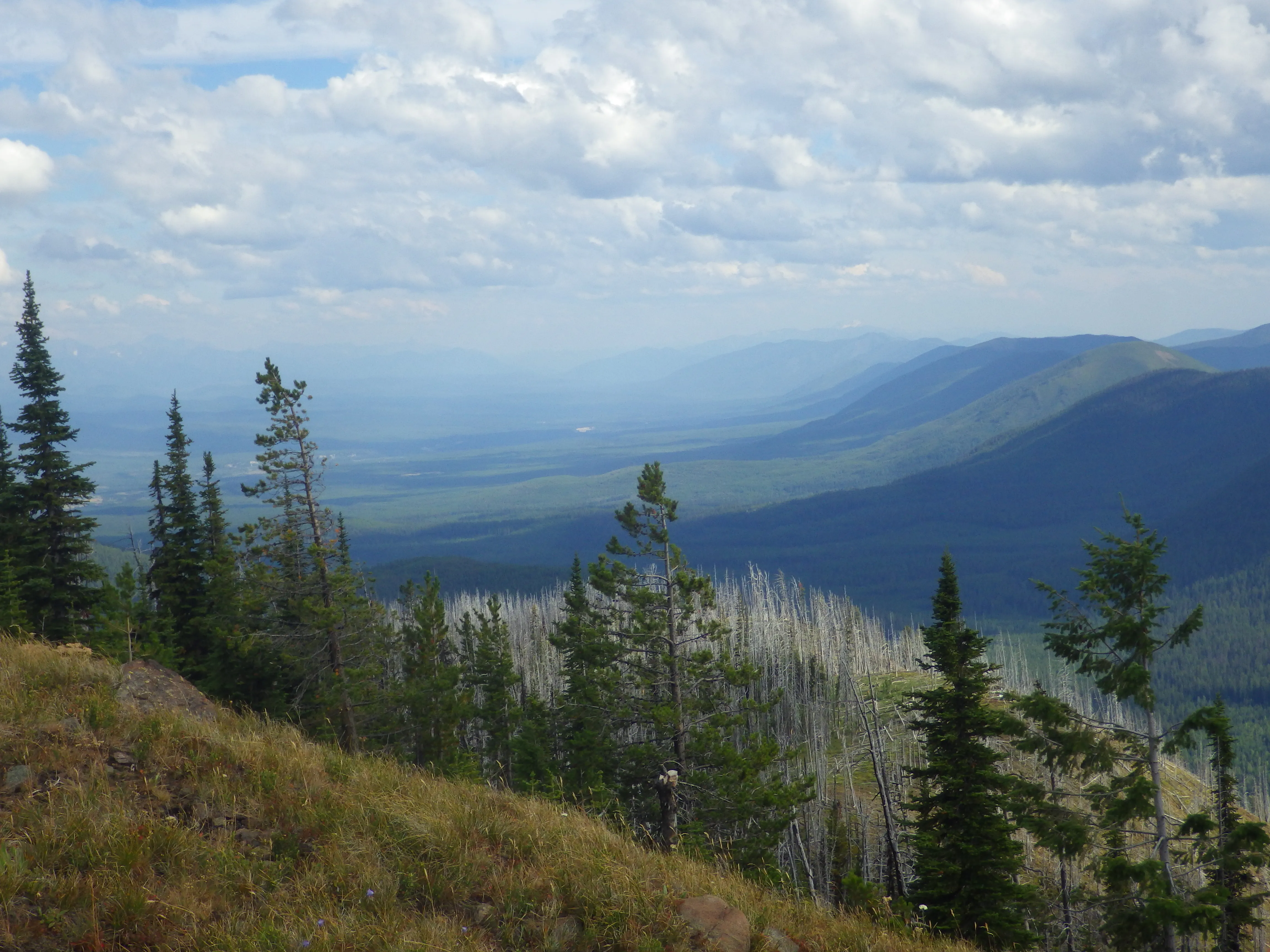 Camp Out at the Hornet Lookout