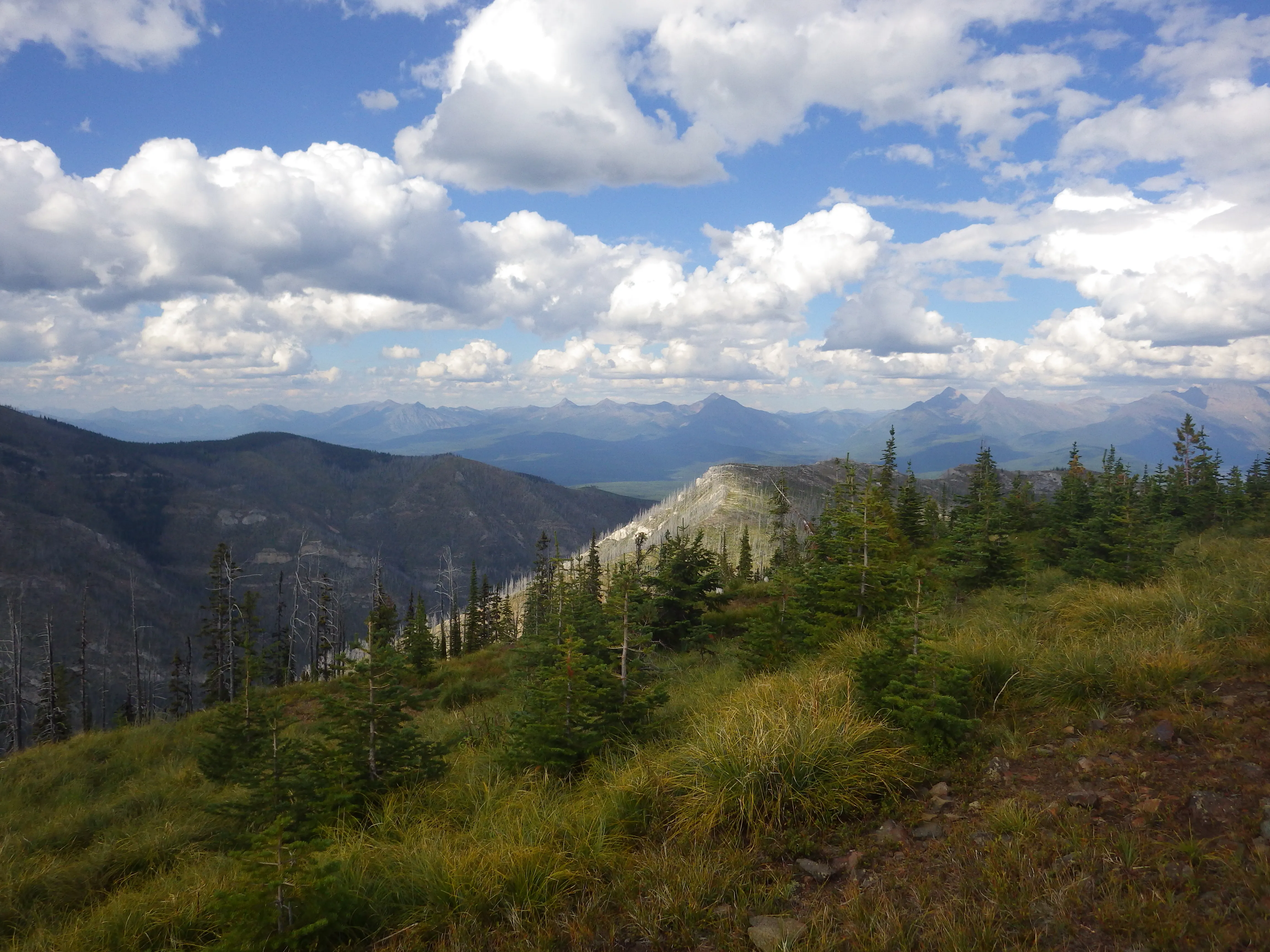 Camp Out at the Hornet Lookout