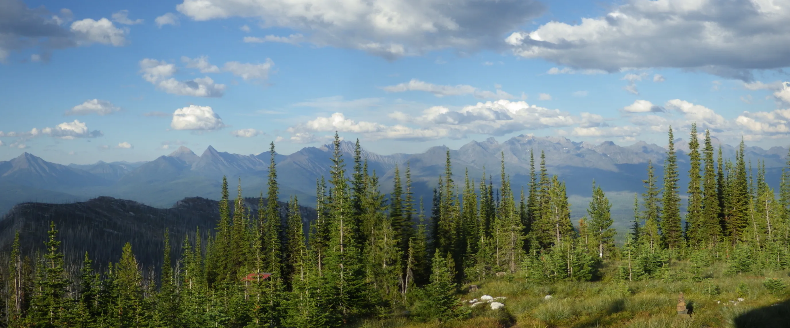 Camp Out at the Hornet Lookout