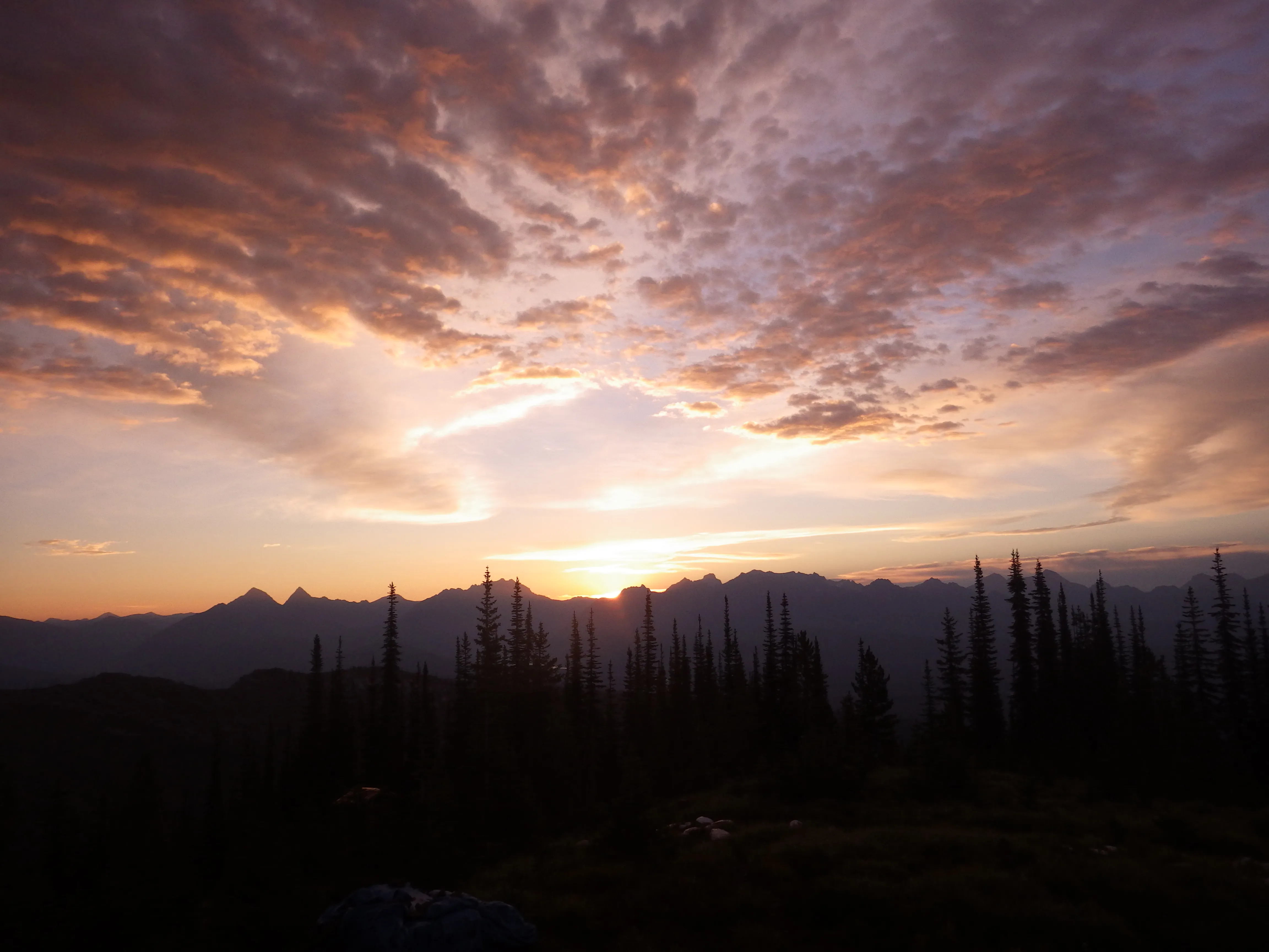 Camp Out at the Hornet Lookout