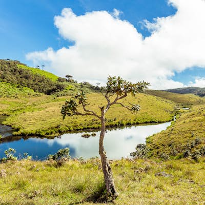 Hike to World's End in Horton Plains NP