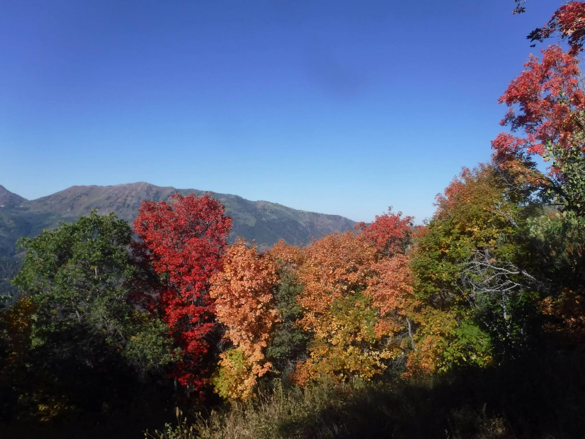Hike Santaquin Peak