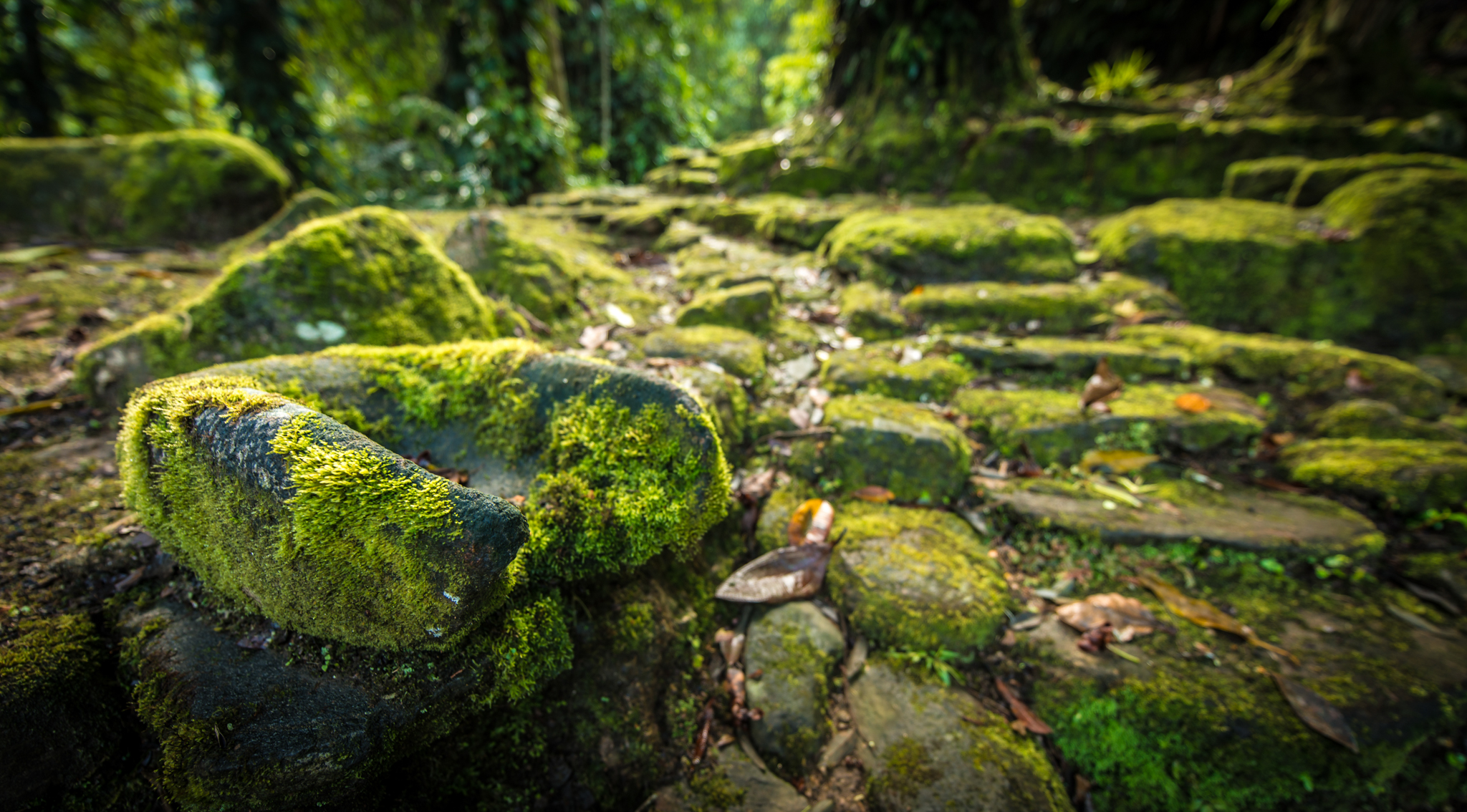 Trek to La Ciudad Perdida (Lost City of Teyuna)
