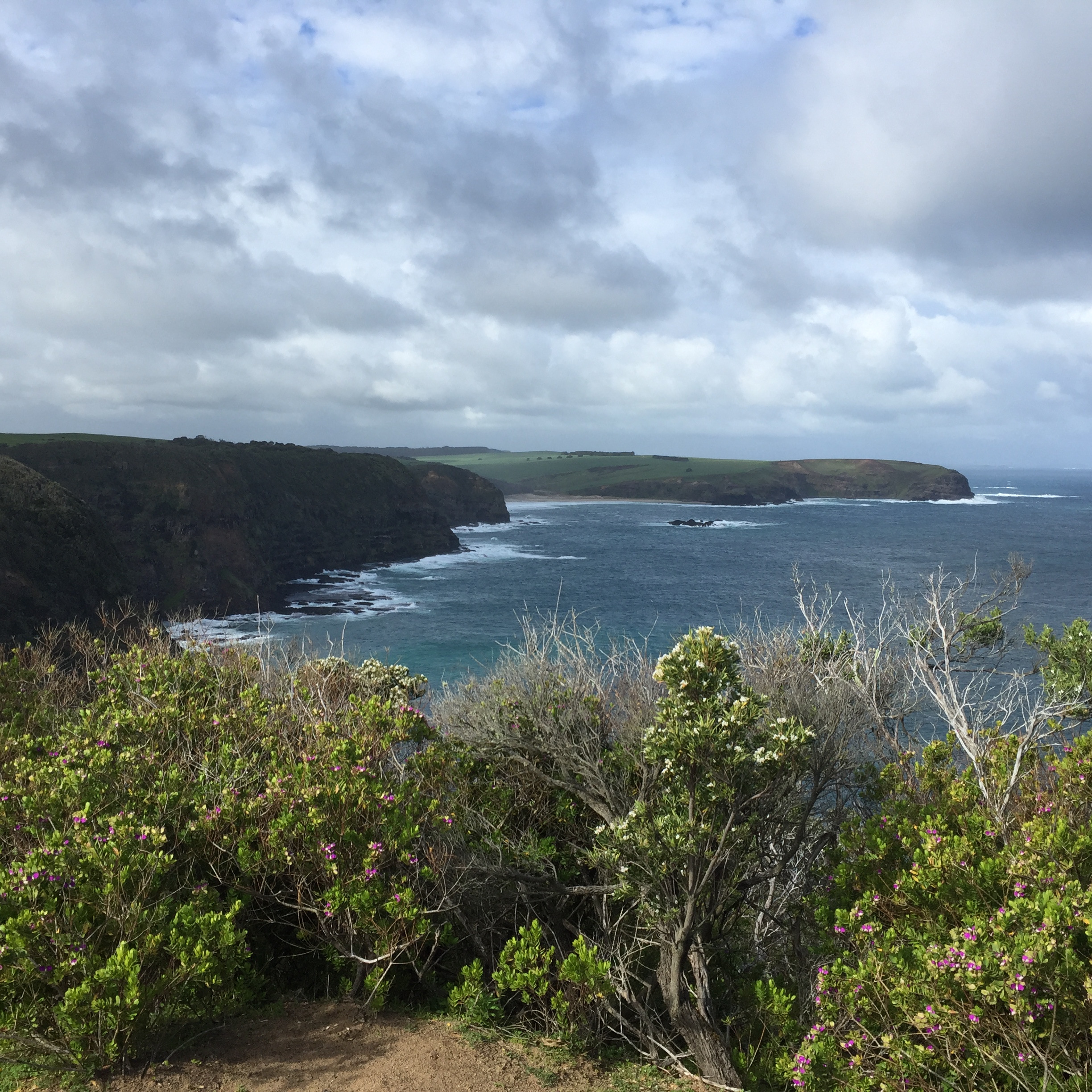 Explore Cape Schnack