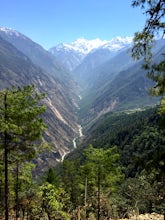 Travel with Purpose: Why You Should Trek Through Langtang Valley This Fall