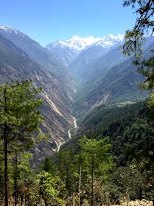 Travel with Purpose: Why You Should Trek Through Langtang Valley This Fall