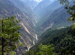 Travel with Purpose: Why You Should Trek Through Langtang Valley This Fall