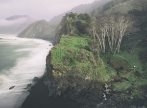 Miles Away from Anywhere, the Lost Coast Feels Like Home 