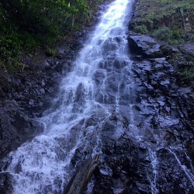 Hike to Brandy Falls, Dominica