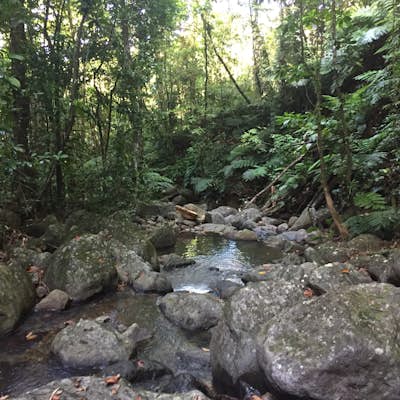 Hike to Brandy Falls, Dominica