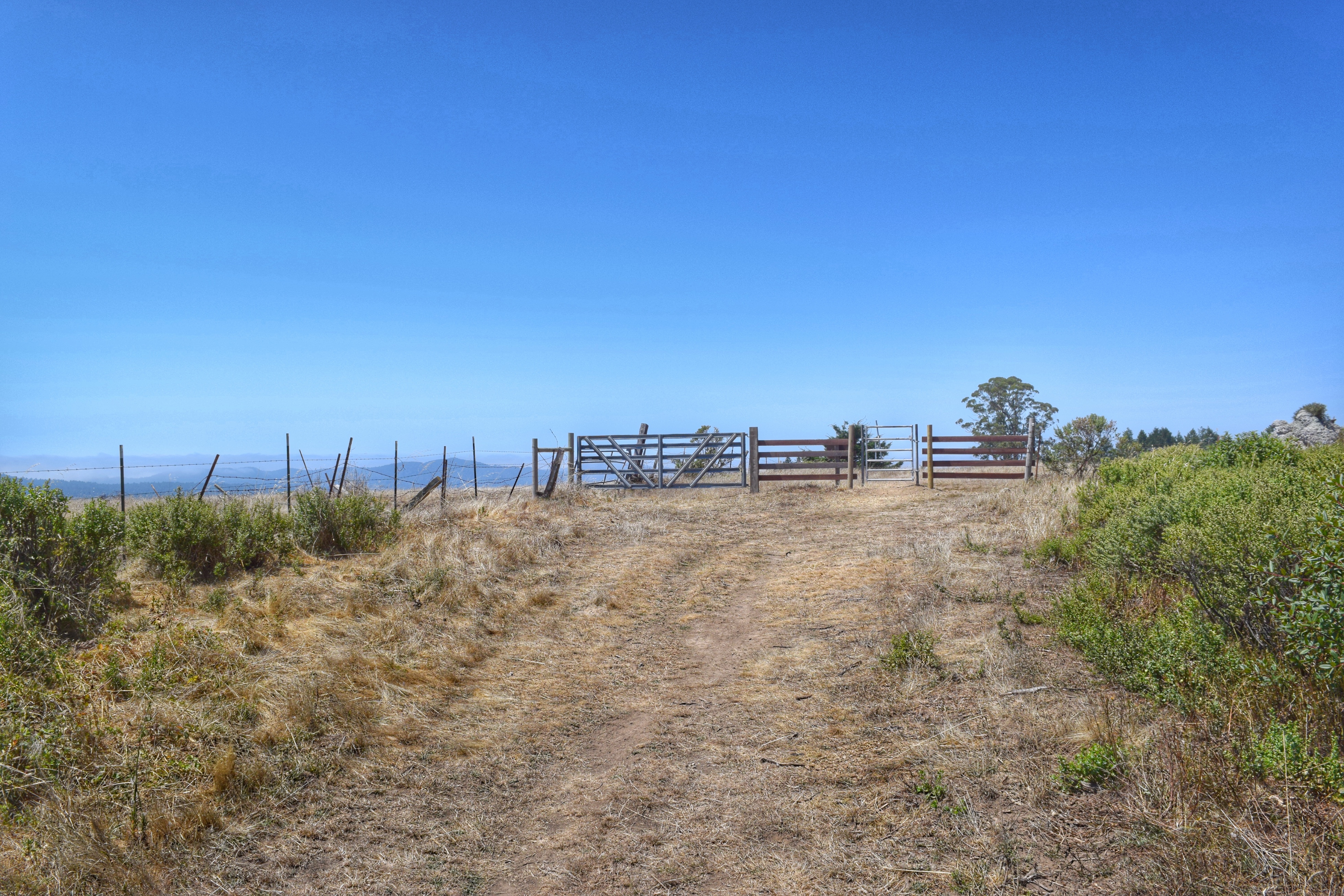 Bolinas Ridge Loop