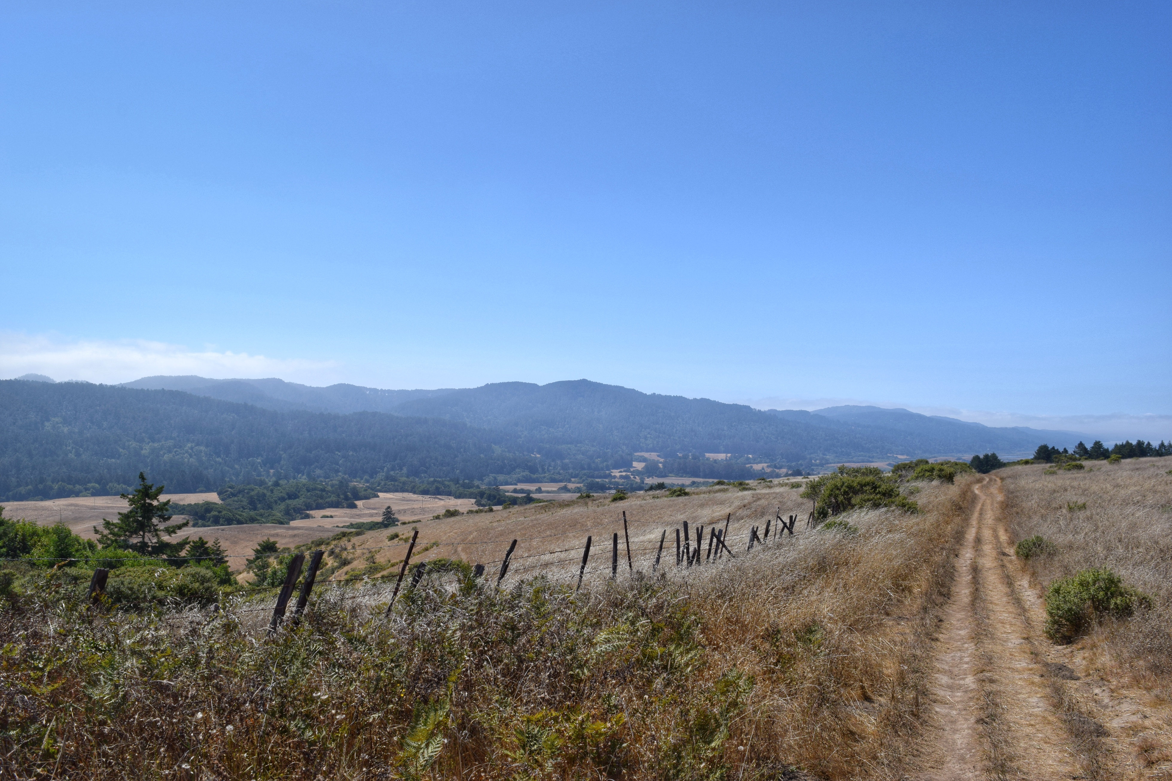Bolinas Ridge Loop