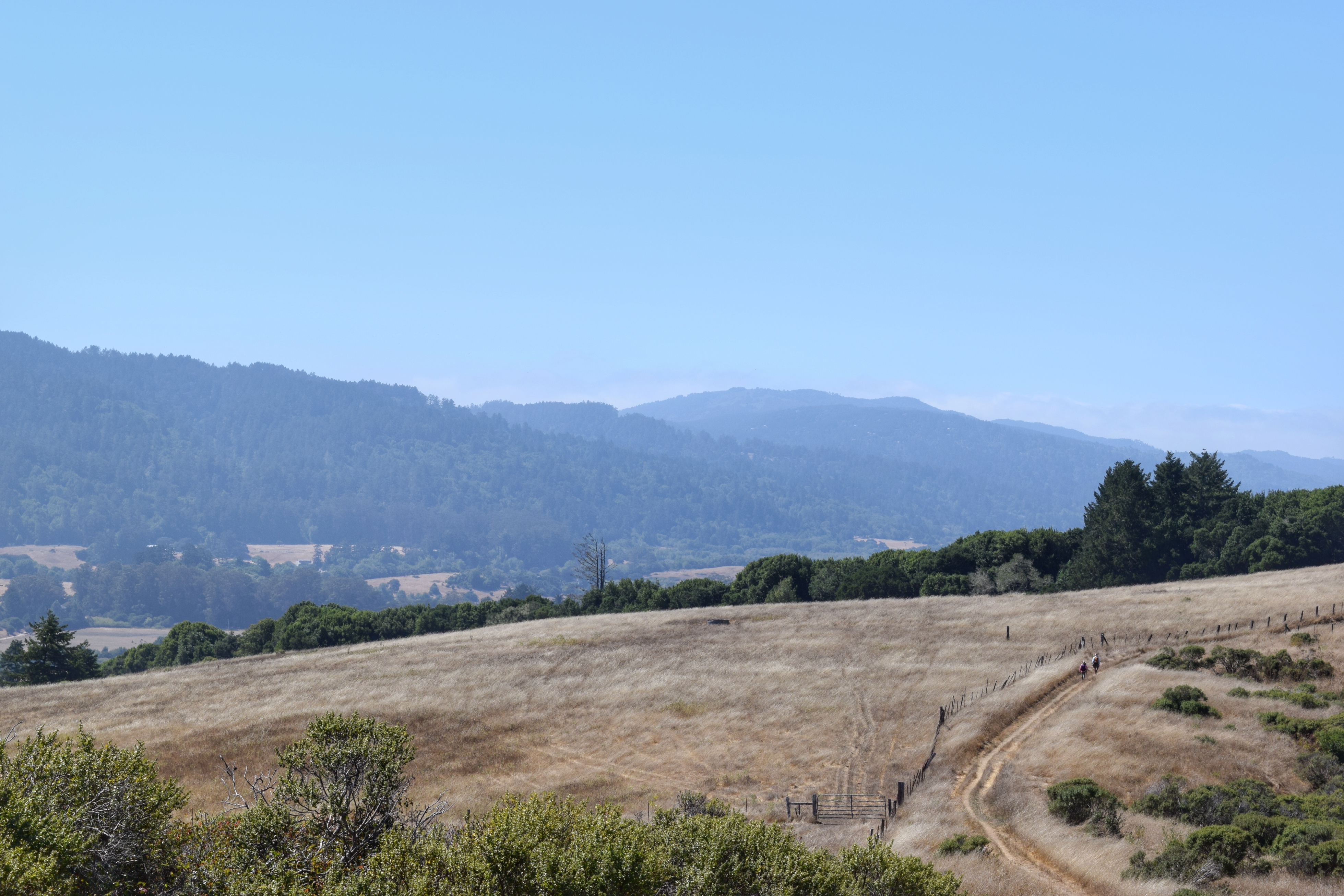 Bolinas Ridge Loop