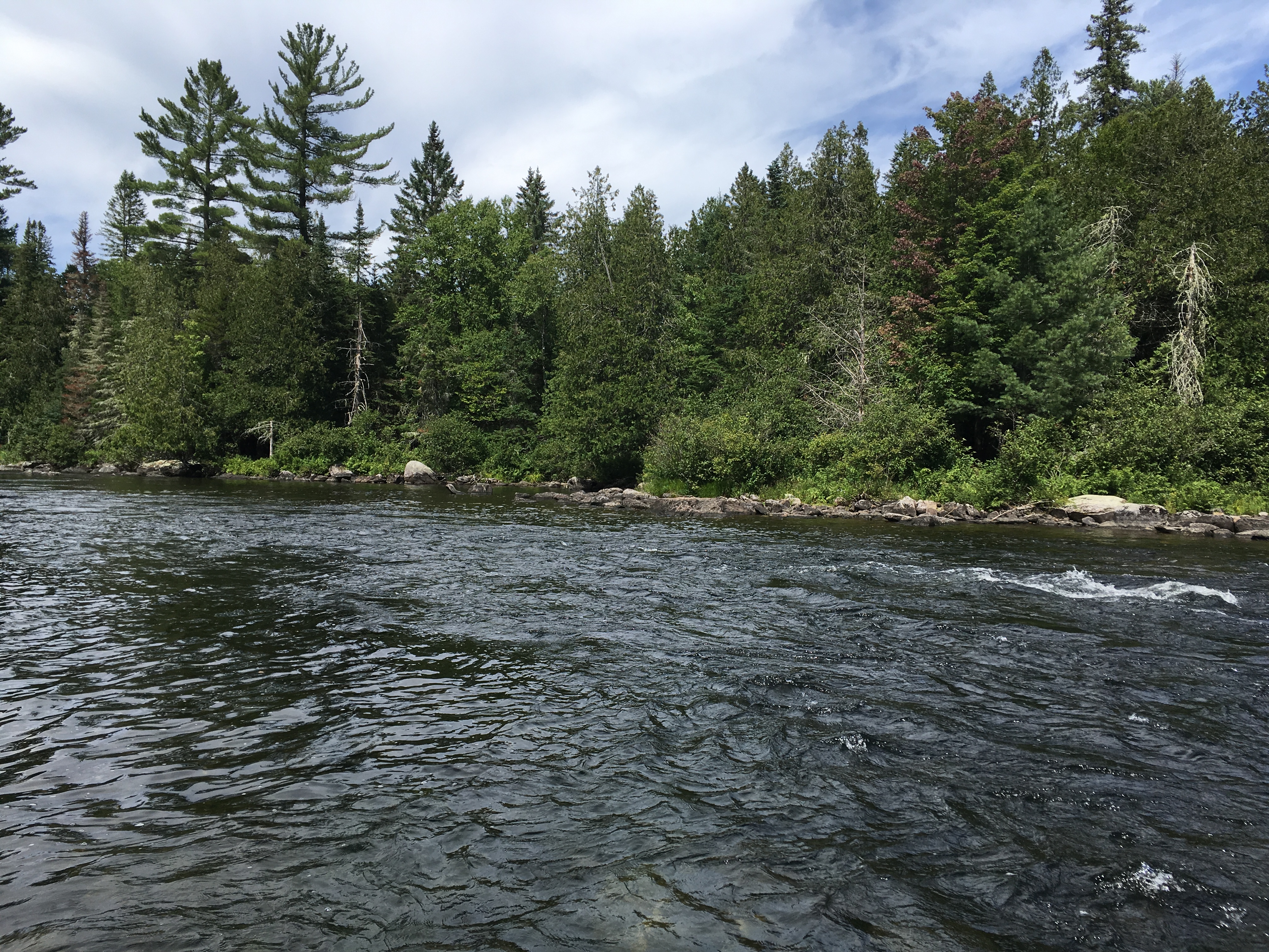 Fly Fish Lower Dam at Rapid River, Maine