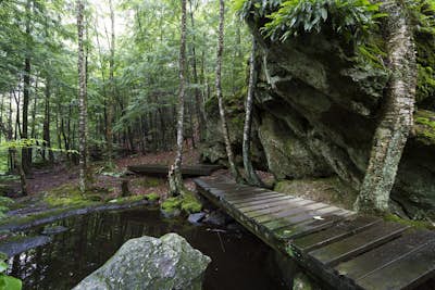 Pulpit Rock Conservation Area Loop
