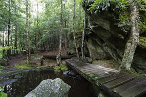 Hike Pulpit Rock Conservation Area