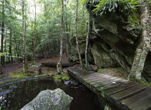Hike Pulpit Rock Conservation Area
