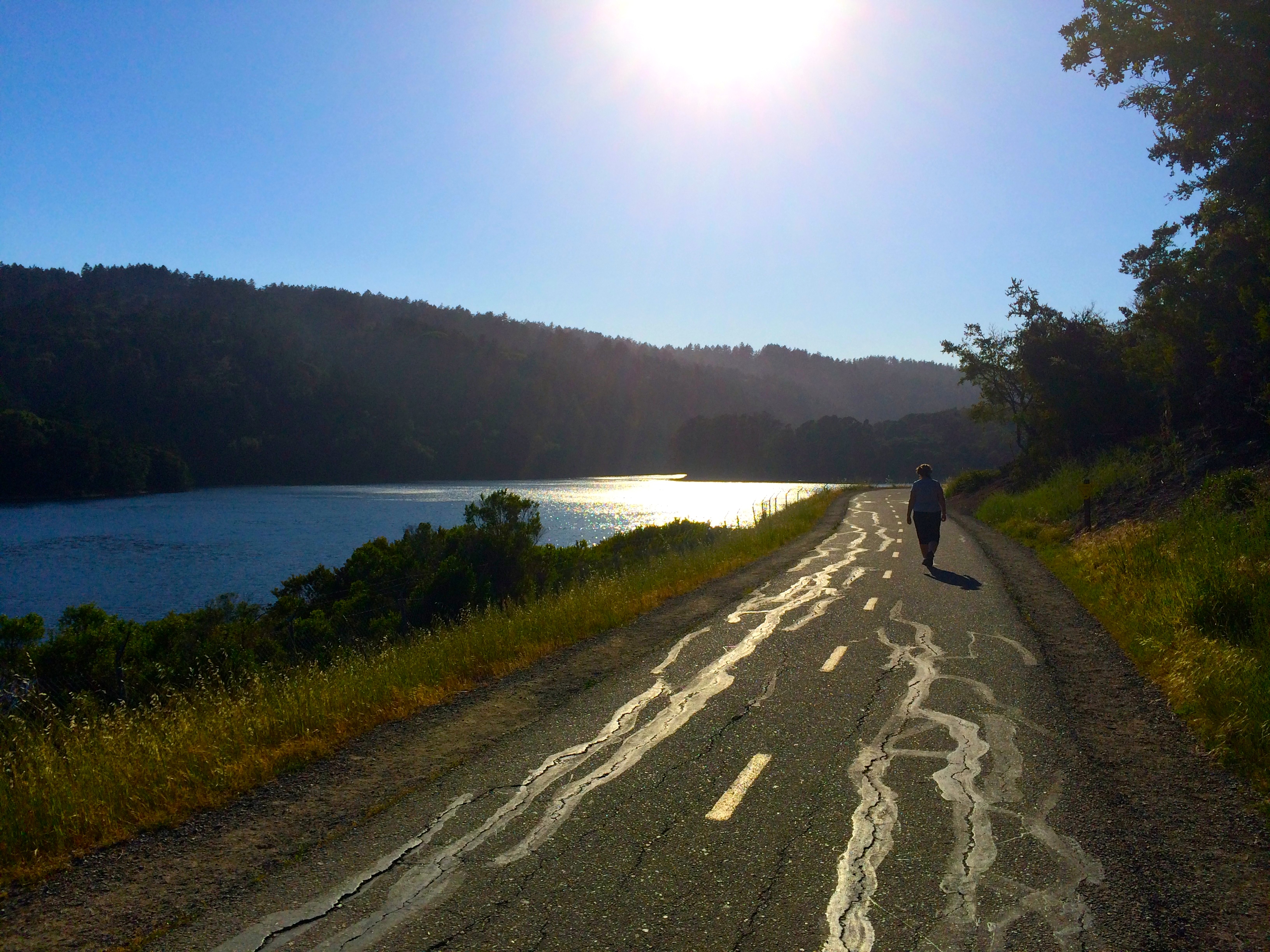Sawyer Camp Trail