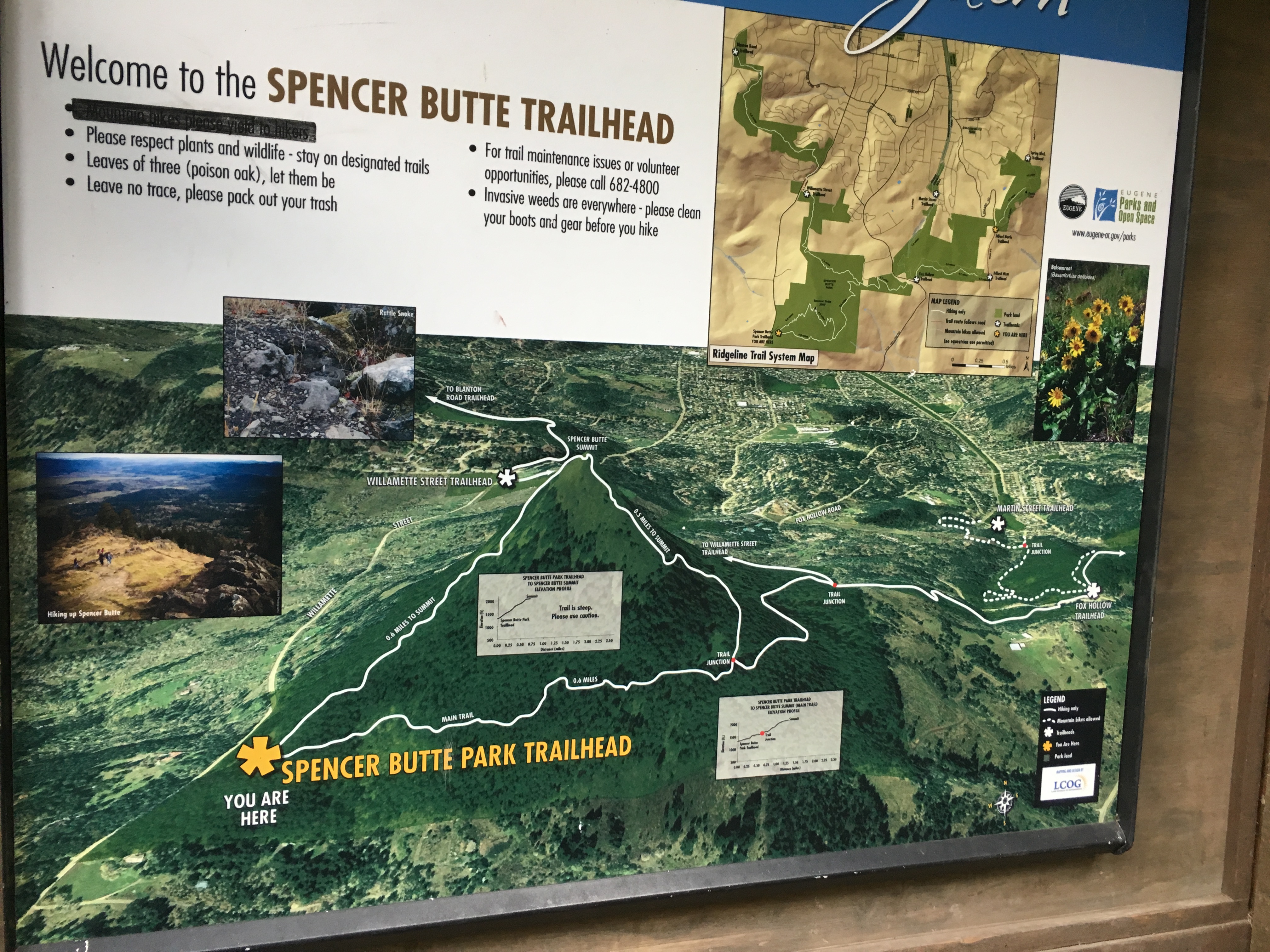 Spencer Butte Loop