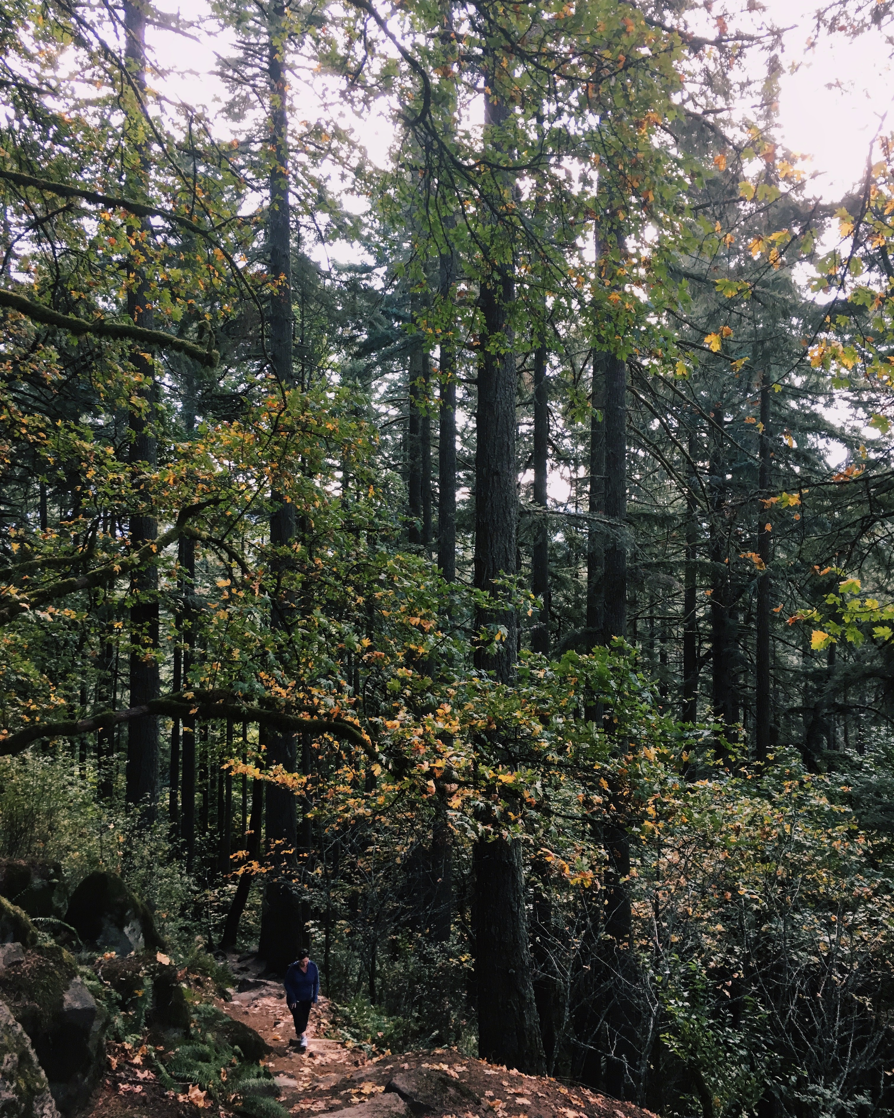 Spencer Butte Loop
