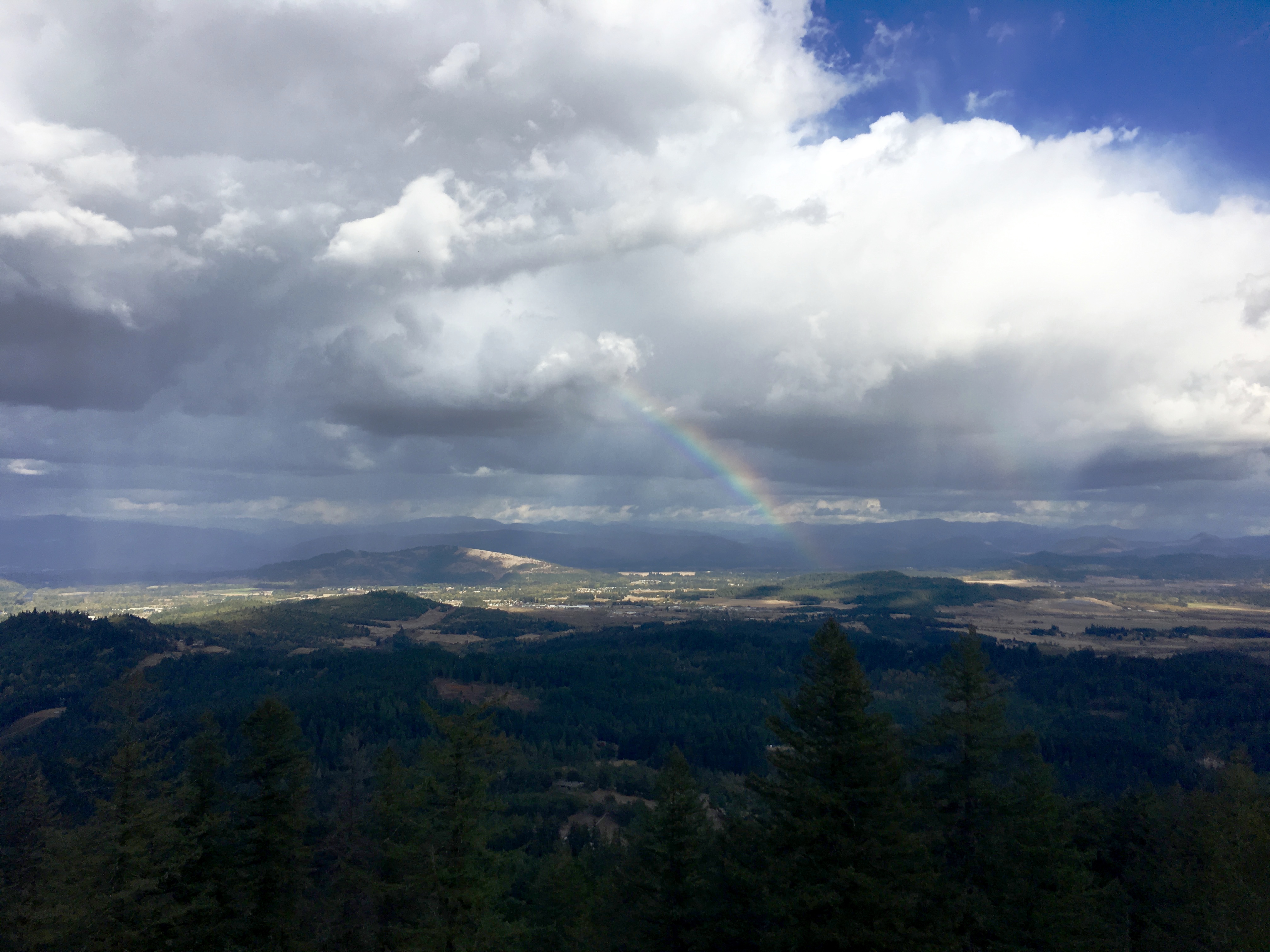 Spencer Butte Loop