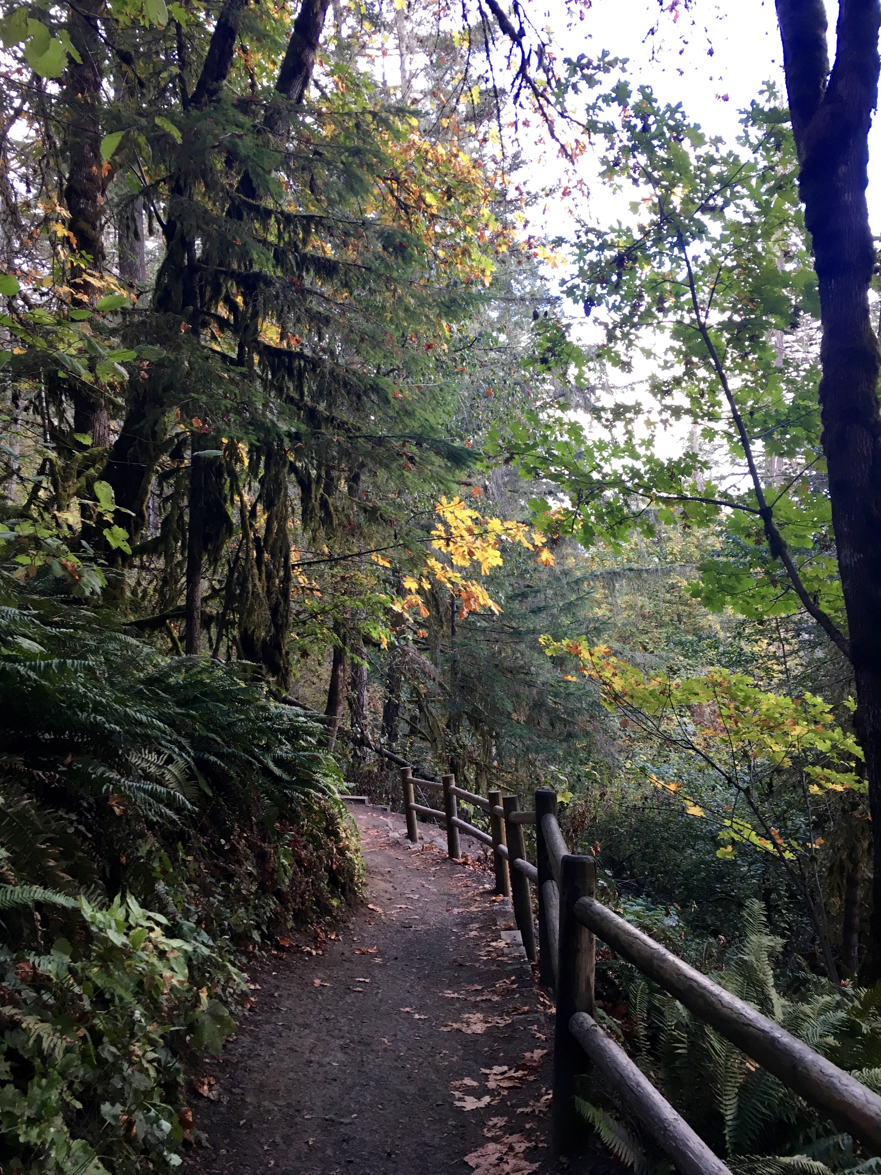 Spencer Butte Loop