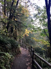 Spencer Butte Loop