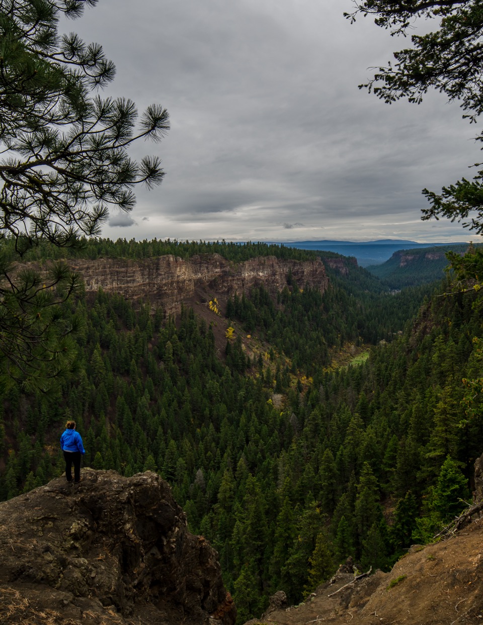 Photograph Chasm Provincial Park View Point