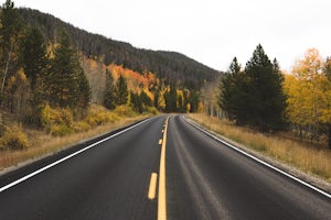 View Fall Color on Cameron Pass