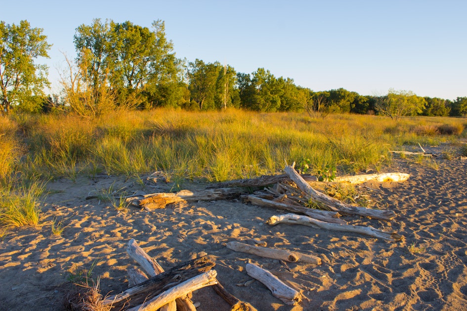 Hike the Headland Dunes, Mentor, Ohio