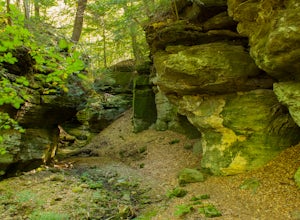 Hike to Ansel's Cave
