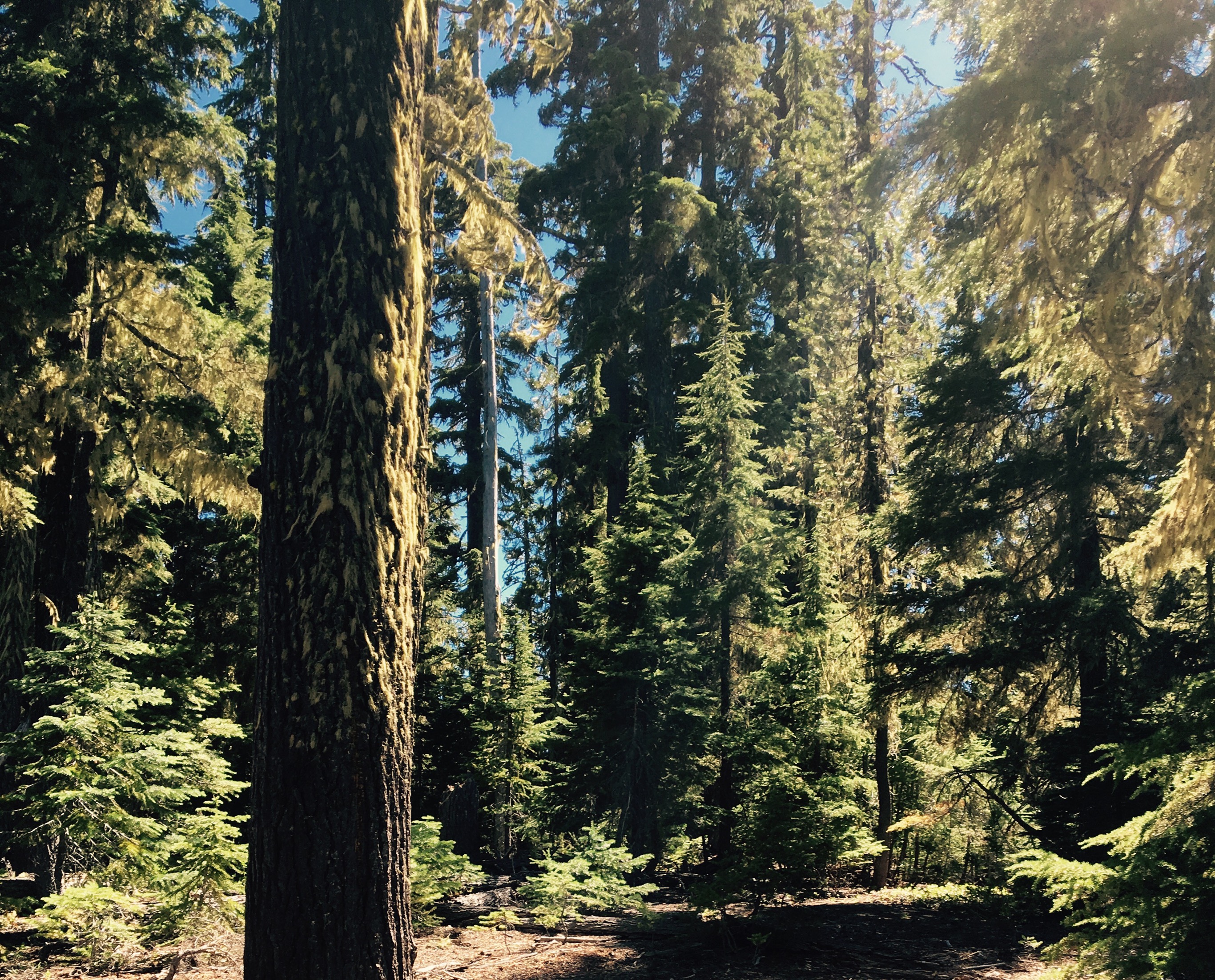 Hike to Lucky Lake